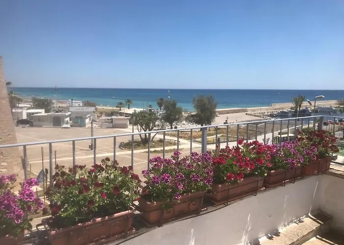 A 100metri dal mare difronte alla torre saracena.